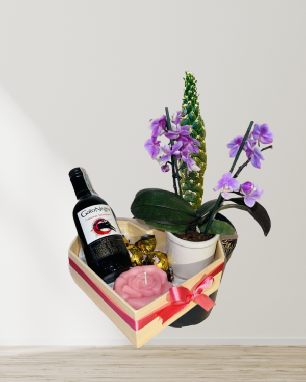 Feliz día (Historia de Instagram)