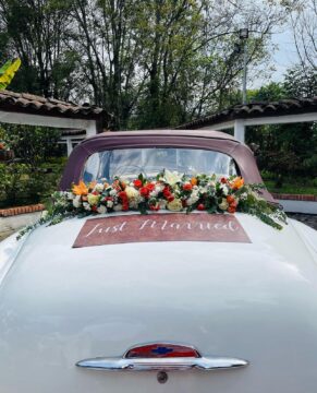 WhatsApp Image 2024-05-21 at 12.15.59 PM (1)