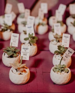 WhatsApp Image 2024-05-21 at 12.23.58 PM (1)